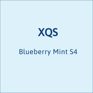 XQS Blueberry Mint S4